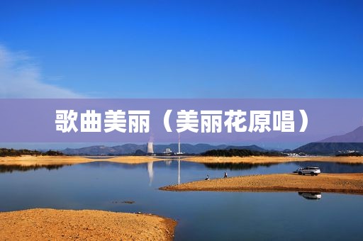 歌曲美丽（美丽花原唱）