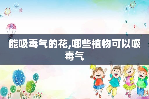 能 *** 气的花,哪些植物可以 *** 气