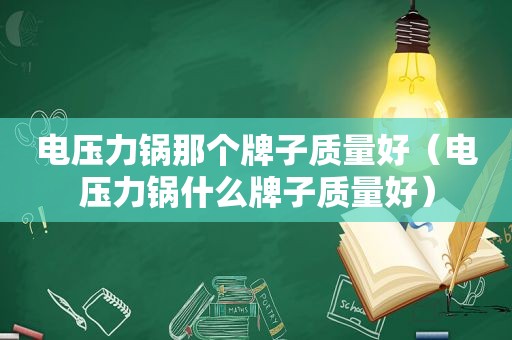 电压力锅那个牌子质量好（电压力锅什么牌子质量好）