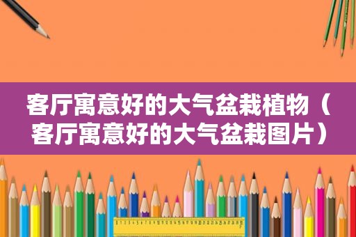 客厅寓意好的大气盆栽植物（客厅寓意好的大气盆栽图片）