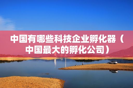 中国有哪些科技企业孵化器（中国最大的孵化公司）