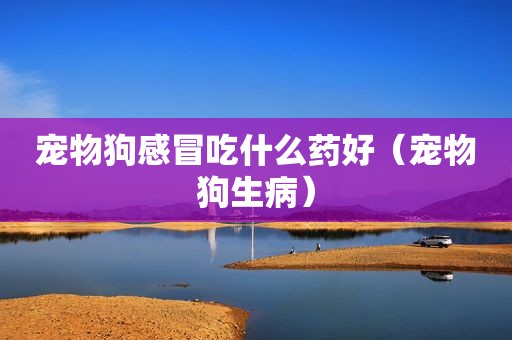 宠物狗感冒吃什么药好（宠物狗生病）