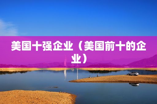 美国十强企业（美国前十的企业）