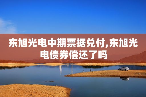 东旭光电中期票据兑付,东旭光电债券偿还了吗