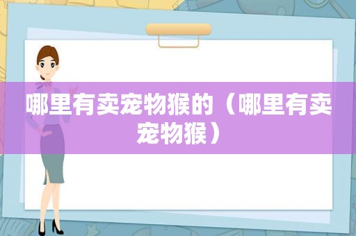 哪里有卖宠物猴的（哪里有卖宠物猴）