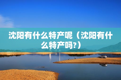 沈阳有什么特产呢（沈阳有什么特产吗?）