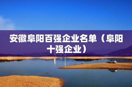 安徽阜阳百强企业名单（阜阳十强企业）