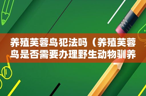 养殖芙蓉鸟犯法吗（养殖芙蓉鸟是否需要办理野生动物驯养繁殖许可证）