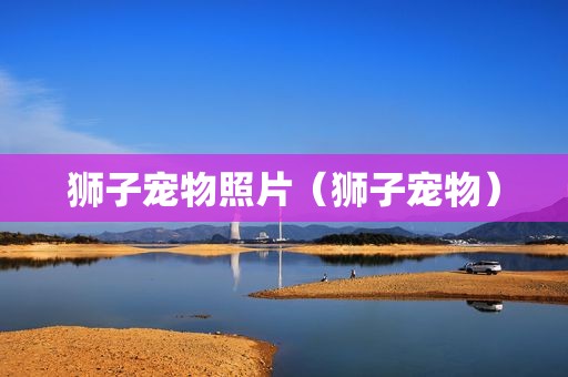 狮子宠物照片（狮子宠物）