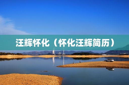 汪辉怀化（怀化汪辉简历）