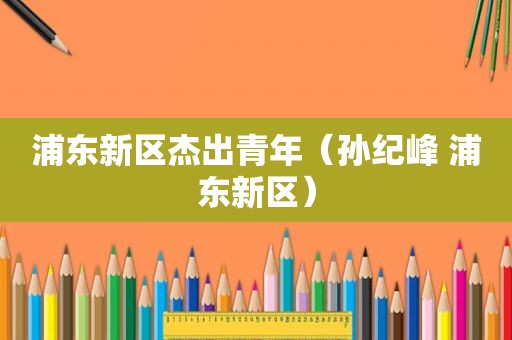 浦东新区杰出青年（孙纪峰 浦东新区）