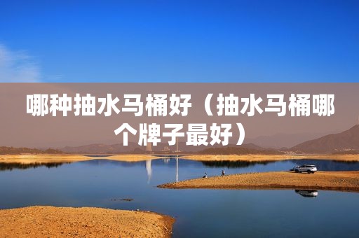 哪种抽水马桶好（抽水马桶哪个牌子最好）