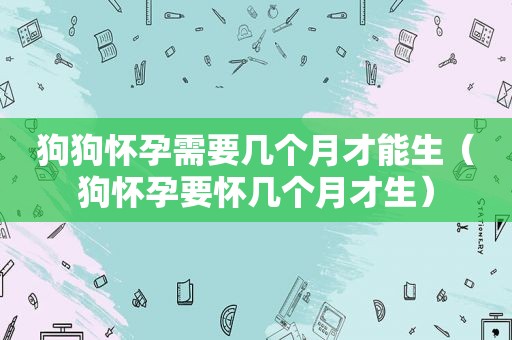 狗狗怀孕需要几个月才能生（狗怀孕要怀几个月才生）