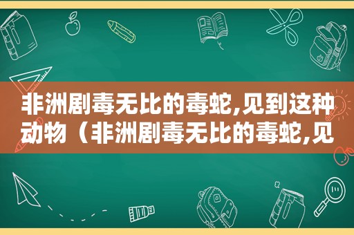 非洲剧毒无比的毒蛇,见到这种动物（非洲剧毒无比的毒蛇,见到这种毒蛇）