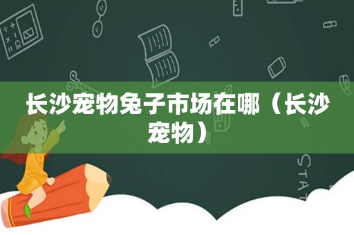 长沙宠物兔子市场在哪（长沙宠物）