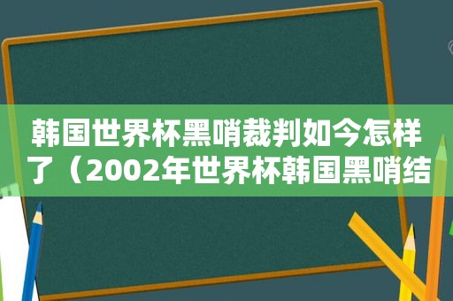 韩国世界杯黑哨裁判如今怎样了（2002年世界杯韩国黑哨结局）