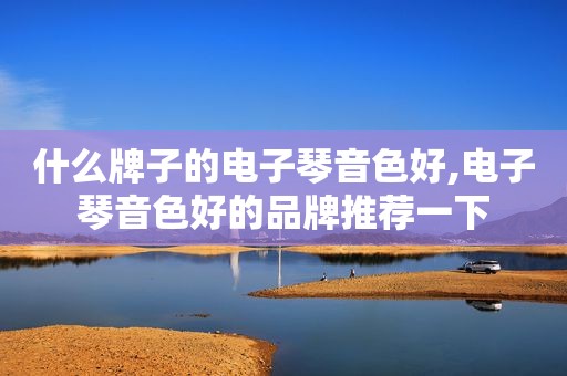 什么牌子的电子琴音色好,电子琴音色好的品牌推荐一下