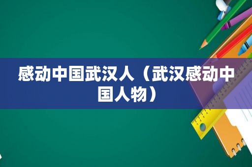 感动中国武 *** （武汉感动中国人物）