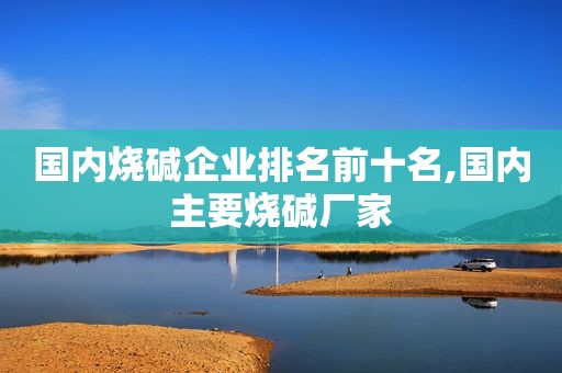 国内烧碱企业排名前十名,国内主要烧碱厂家