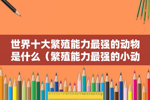 世界十大繁殖能力最强的动物是什么（繁殖能力最强的小动物）