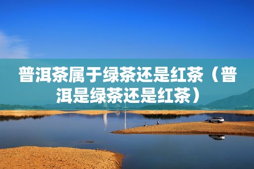 普洱茶属于绿茶还是红茶（普洱是绿茶还是红茶）