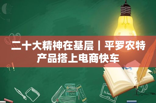 二十大精神在基层｜平罗农特产品搭上电商快车