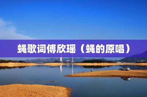 蝇歌词傅欣瑶（蝇的原唱）