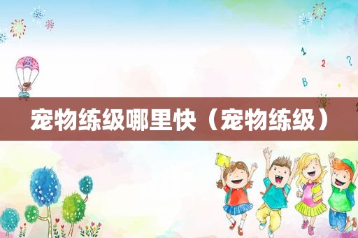 宠物练级哪里快（宠物练级）