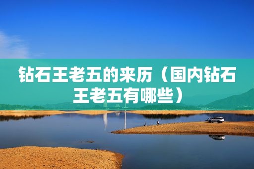 钻石王老五的来历（国内钻石王老五有哪些）
