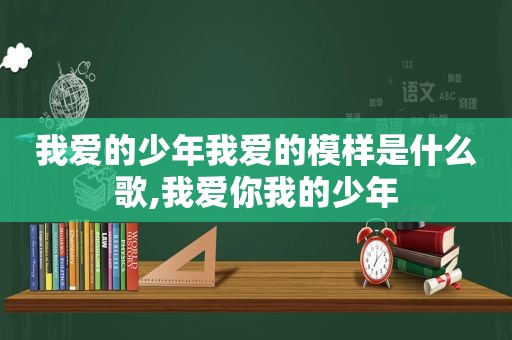 我爱的少年我爱的模样是什么歌,我爱你我的少年