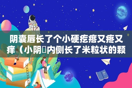 阴囊唇长了个小硬疙瘩又疼又痒（小阴脣内侧长了米粒状的颗粒）