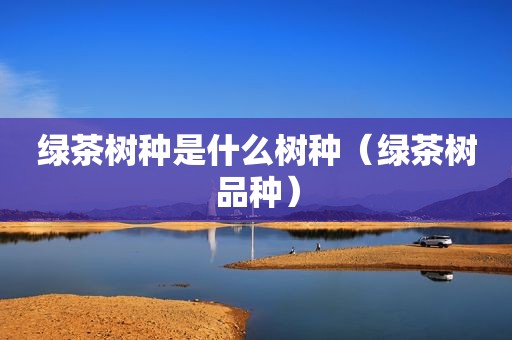 绿茶树种是什么树种（绿茶树品种）