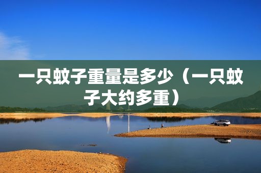 一只蚊子重量是多少（一只蚊子大约多重）