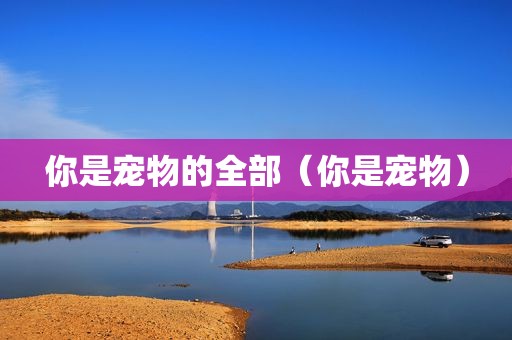 你是宠物的全部（你是宠物）