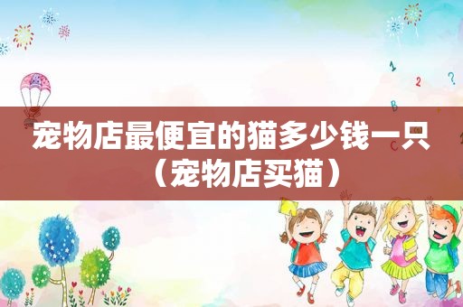 宠物店最便宜的猫多少钱一只（宠物店买猫）