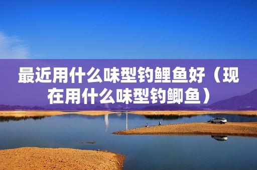 最近用什么味型钓鲤鱼好（现在用什么味型钓鲫鱼）
