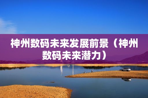 神州数码未来发展前景（神州数码未来潜力）