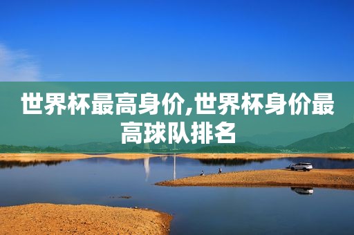 世界杯最高身价,世界杯身价最高球队排名