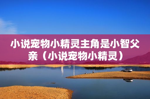 小说宠物小精灵主角是小智父亲（小说宠物小精灵）