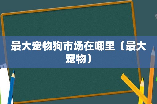 最大宠物狗市场在哪里（最大宠物）