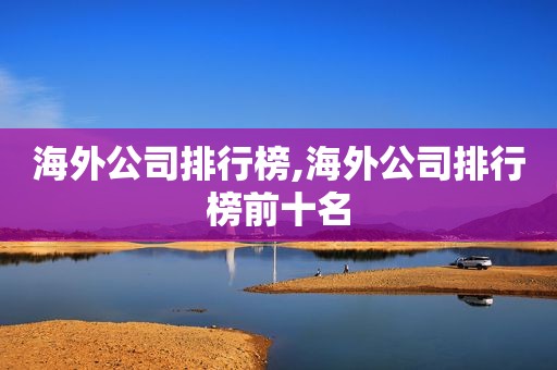 海外公司排行榜,海外公司排行榜前十名