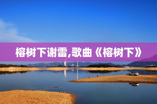 榕树下谢雷,歌曲《榕树下》