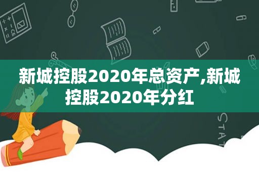 新城控股2020年总资产,新城控股2020年分红
