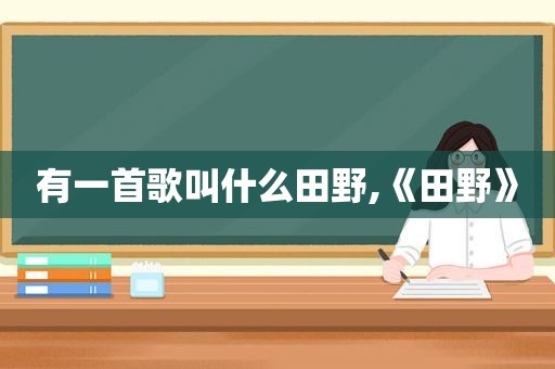 有一首歌叫什么田野,《田野》