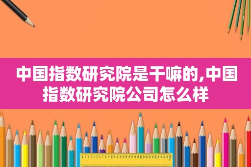 中国指数研究院是干嘛的,中国指数研究院公司怎么样