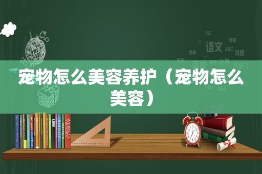 宠物怎么美容养护（宠物怎么美容）