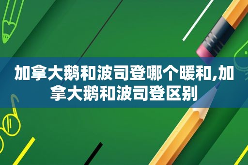 加拿大鹅和波司登哪个暖和,加拿大鹅和波司登区别
