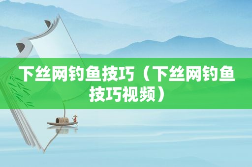 下丝网钓鱼技巧（下丝网钓鱼技巧视频）