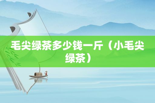 毛尖绿茶多少钱一斤（小毛尖绿茶）