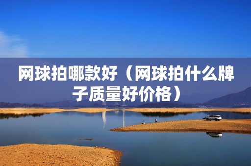 网球拍哪款好（网球拍什么牌子质量好价格）
